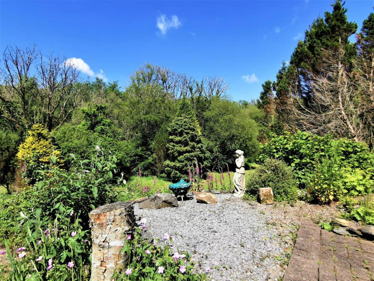 Wellstone Cottages - IvyLlanfyrnach エクステリア 写真