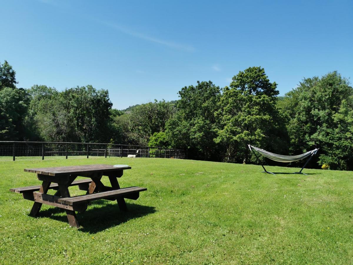 Wellstone Cottages - IvyLlanfyrnach エクステリア 写真