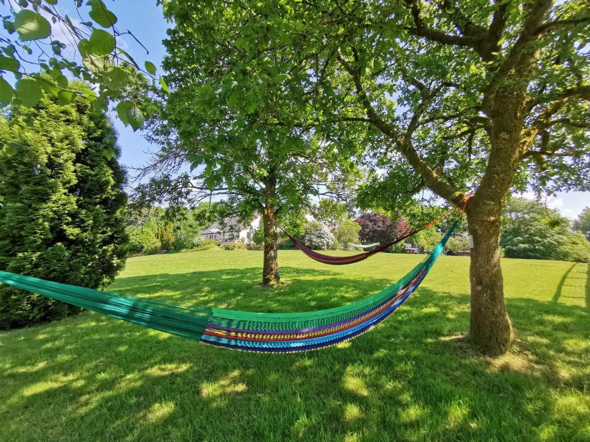 Wellstone Cottages - IvyLlanfyrnach エクステリア 写真