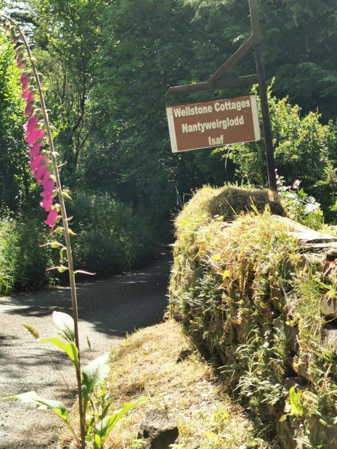 Wellstone Cottages - IvyLlanfyrnach エクステリア 写真